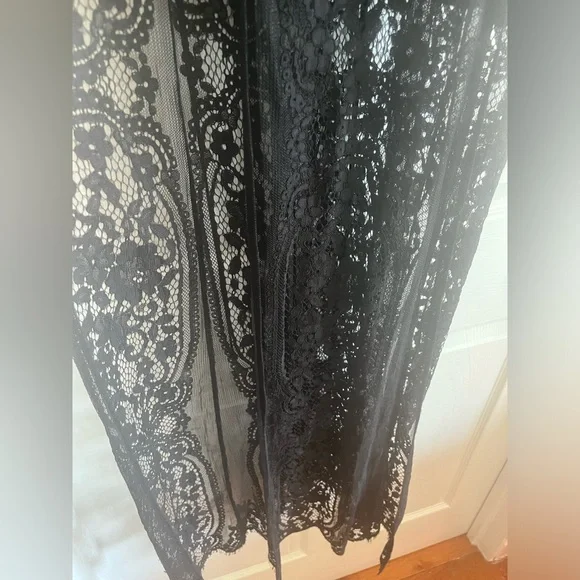 Sheer Lace Maxi Nighty Teddy Chemise Dress Longhorn Goth Whimsigoth witch Addams - Picture 7 of 10